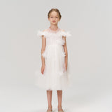 Feathered Whisper Dress