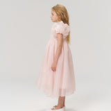 Blush Whisper Dress