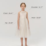 Gilded Whisper Dress