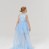 Radiance Sequin Overlay Dress