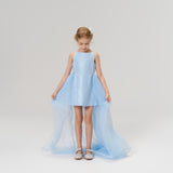Radiance Sequin Overlay Dress