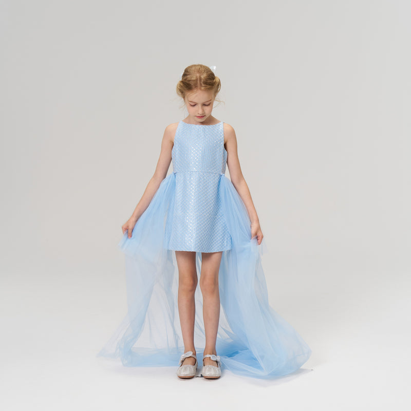 Radiance Sequin Overlay Dress