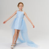 Radiance Sequin Overlay Dress