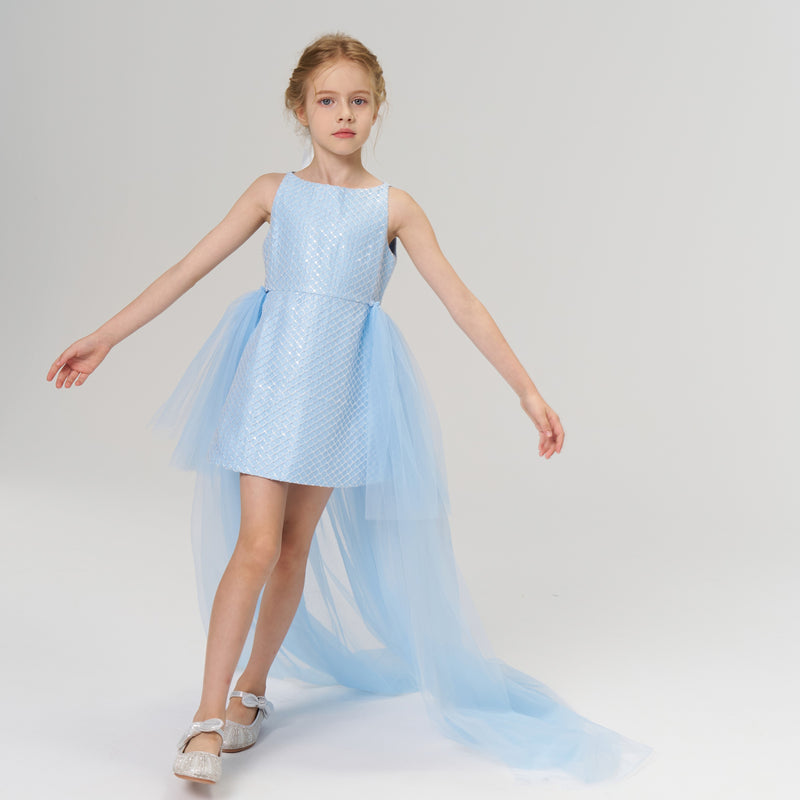 Radiance Sequin Overlay Dress