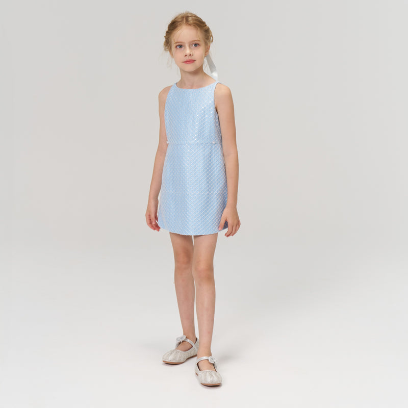 Radiance Sequin Overlay Dress