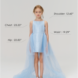 Radiance Sequin Overlay Dress