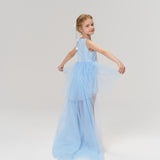 Radiance Sequin Overlay Dress