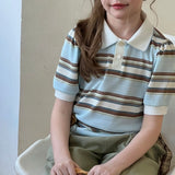Sky Blue Meadow Stripe Knit Polo Top
