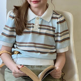 Sky Blue Meadow Stripe Knit Polo Top