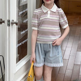 Blush Pink Meadow Stripe Knit Polo Top