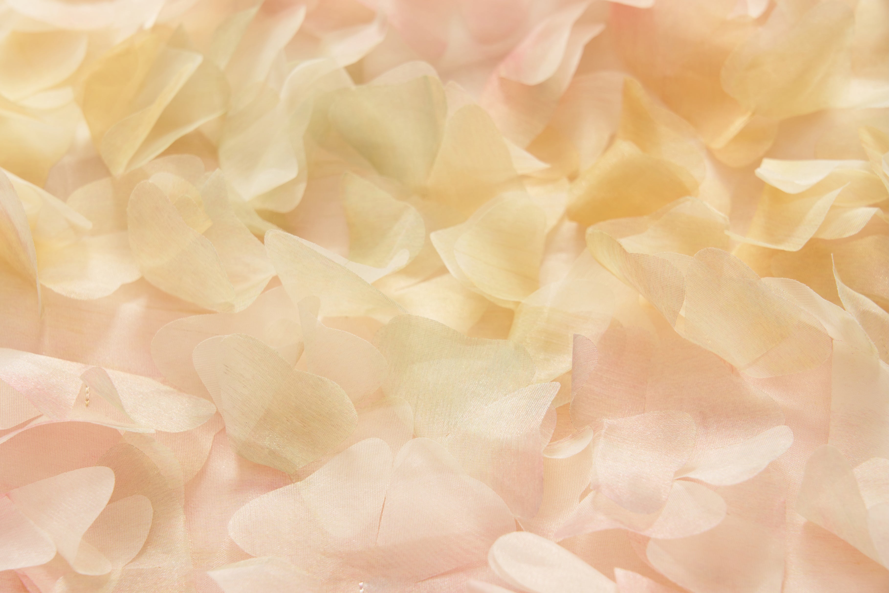 Peach Blossom Petal Tulle Dress