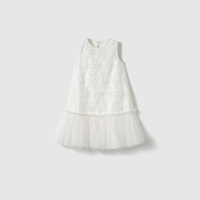 Twinkle Whisper Dress