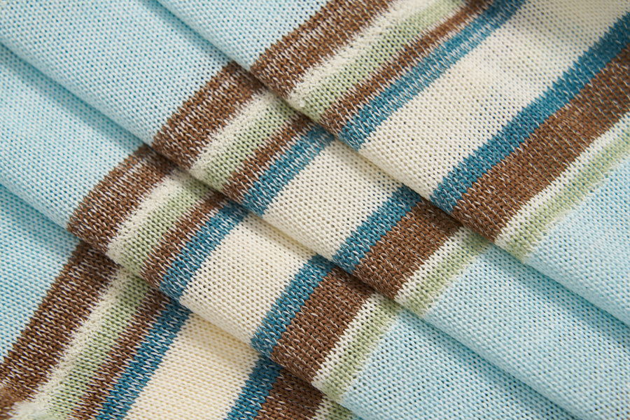 Sky Blue Meadow Stripe Knit Polo Top