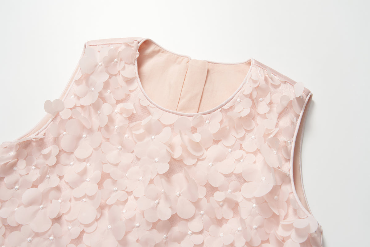 Blush Petal Reverie Dress