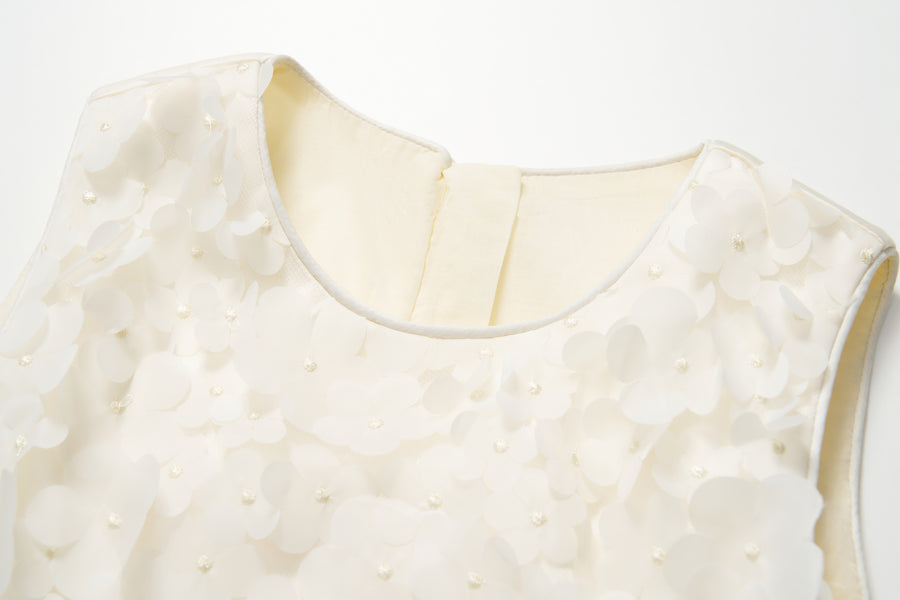 Apricot Petal Reverie Dress