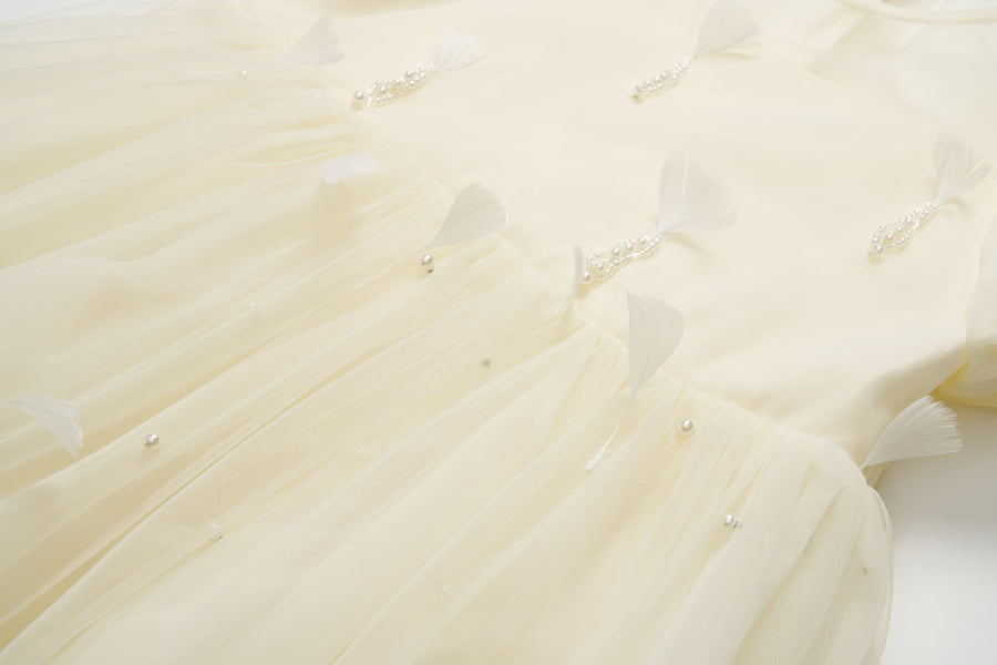 Mooncream Feather Pearl Tulle Dress