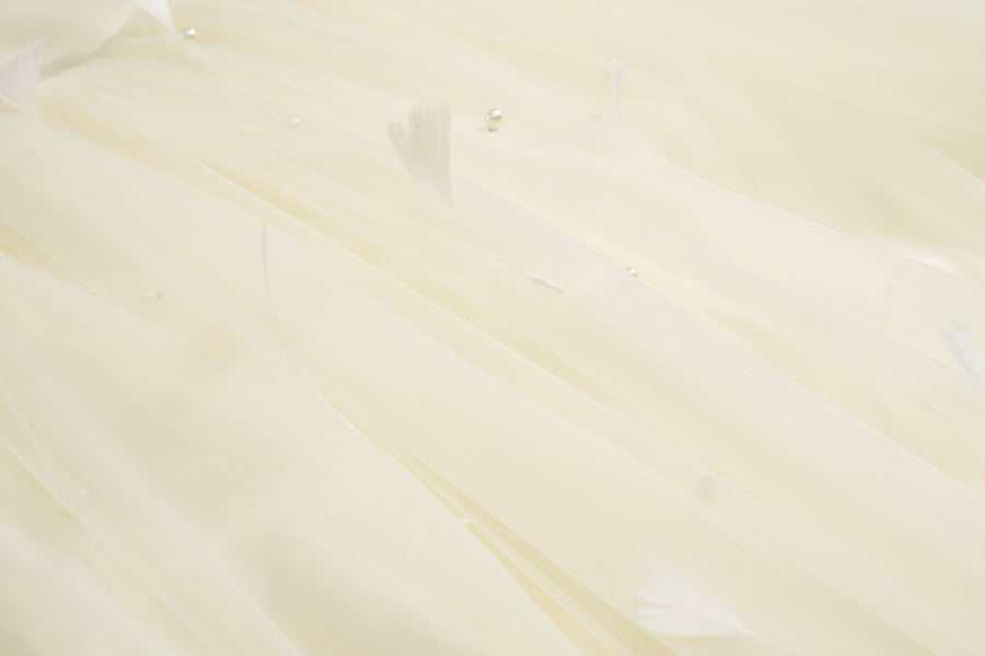 Mooncream Feather Pearl Tulle Dress