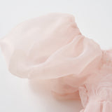 Blush Whisper Dress