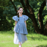 A young girl wears the KIKI and JOJO Girls Velvet Asymmetrical Hem Puff Sleeve Dress in gray as she walks on green grass with trees in the background on a sunny day.