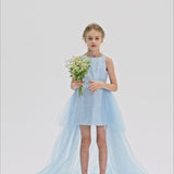 Radiance Sequin Overlay Dress