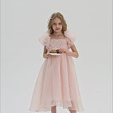 Blush Whisper Dress