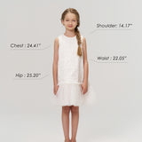 Twinkle Whisper Dress